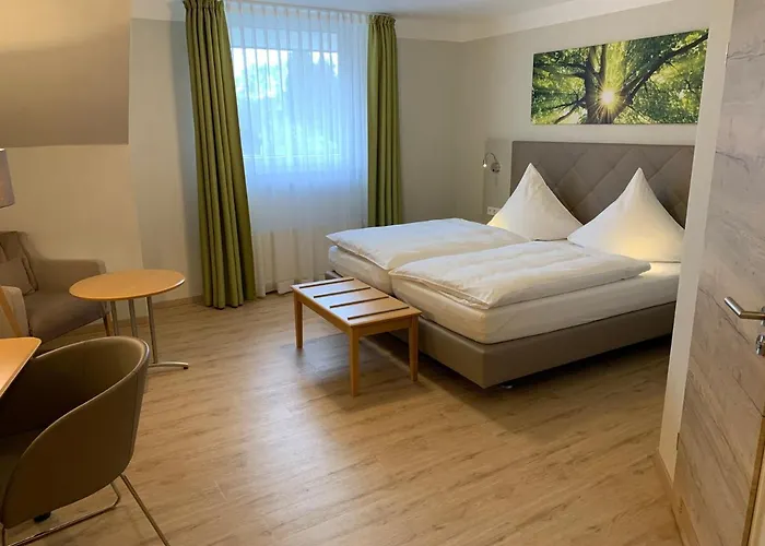 Hotel-restaurant Haus Waldesruh 3* Боркен